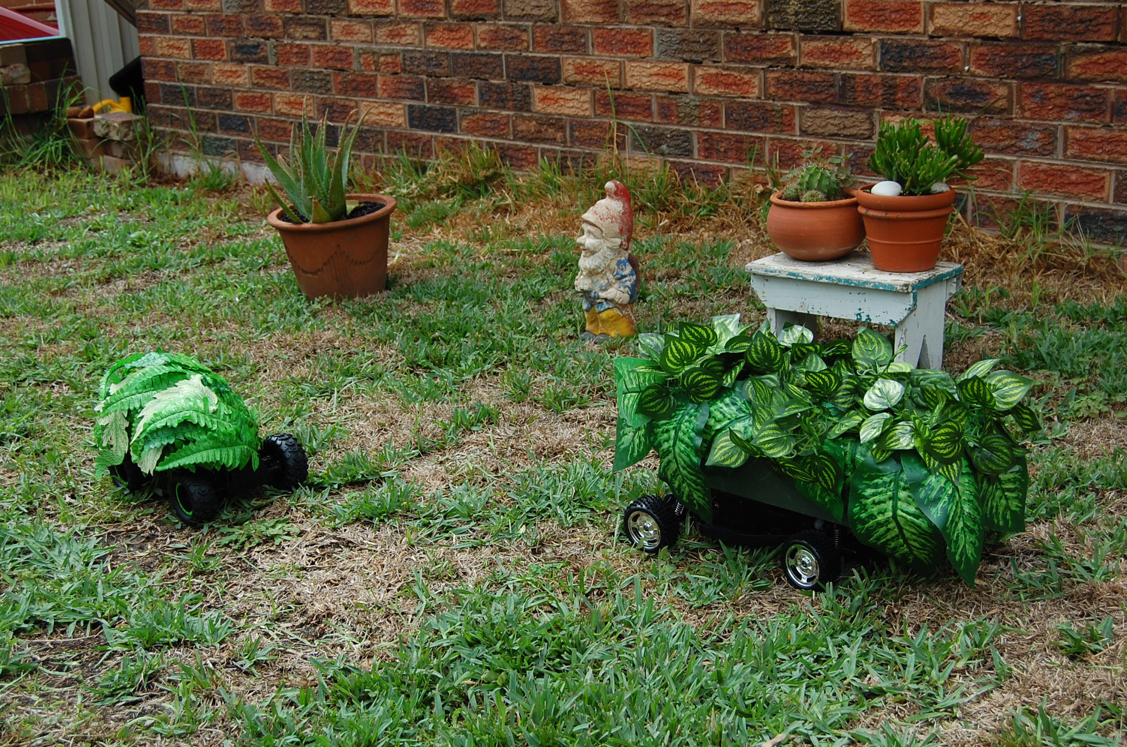 Remote Control Garden ( installation view)